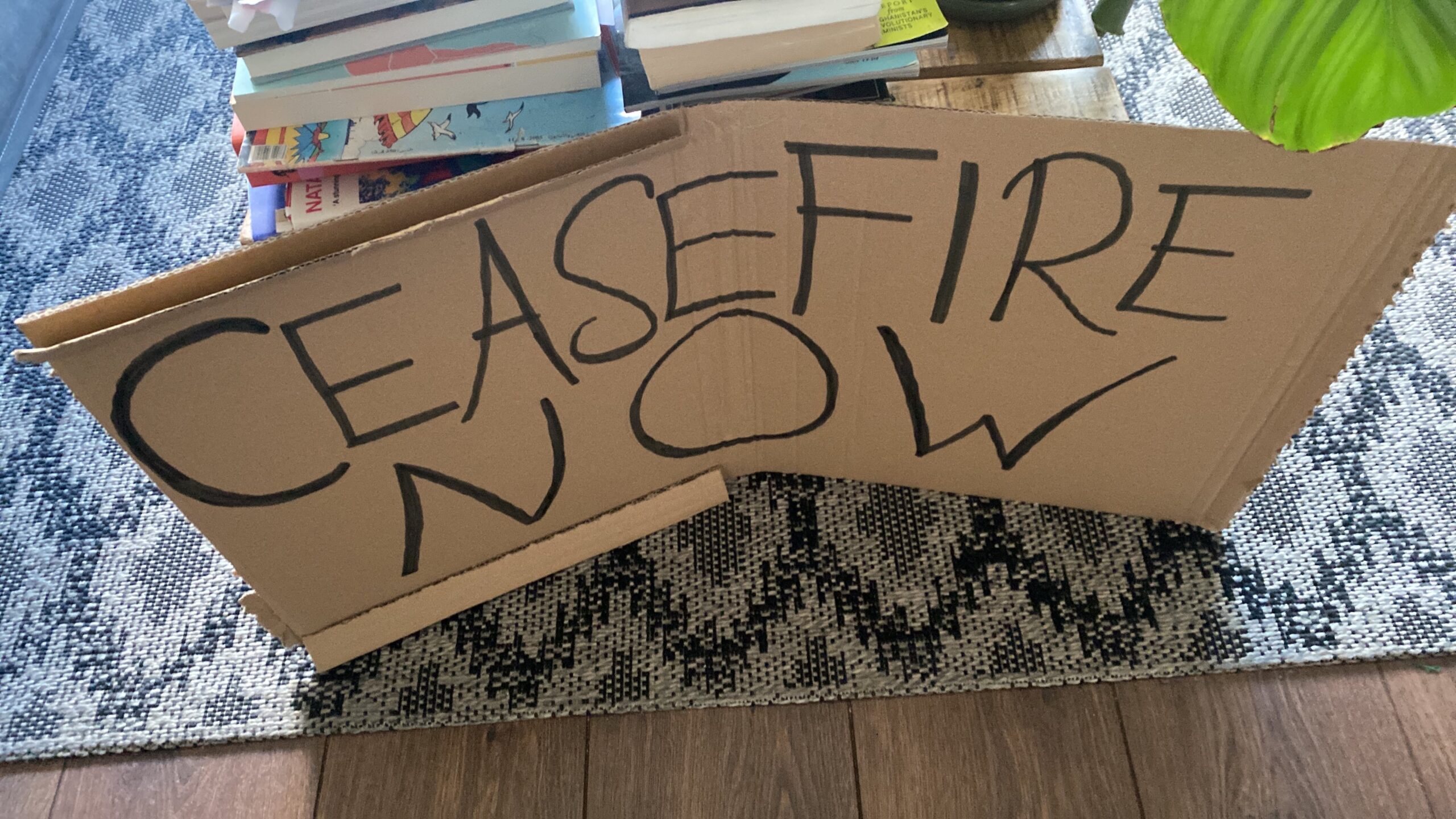 A cardboard sign, saying "ceasefire now" in capital letters. It leans against a table full of books.